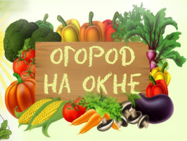 Огород на окне. Огород на окне.