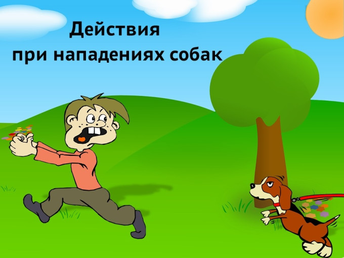 Осторожно! Бездомные животные! Осторожно! Бездомные животные!.